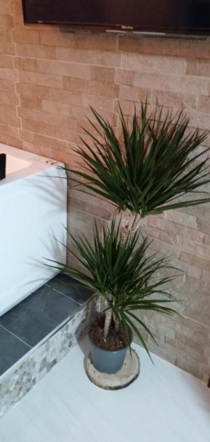Estudio Romántico Sol De Jerez Appartamento
